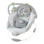 Ingenuity Soothing Baby Bouncer