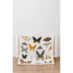 Clemintine Kids Butterfly Quilt