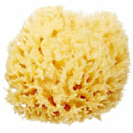 Natural Bath Sponge - Sea Wool