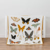 Clementine Kids Quilt - Butterfly