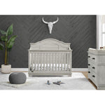 Delta Asher Convertible Crib with Toddler Rail and Double Dresser with Changing Tray - Rustic Mist
